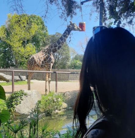 ZOO BIOPARCO ROMA, volo+hotel+ingresso parco, 3 giorni PARCHI DIVERTIMENTO