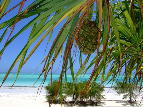ZANZIBAR, volo da Roma VIAGGI nel MONDO
