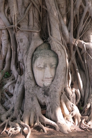 Tour THAILANDIA, Capodanno 