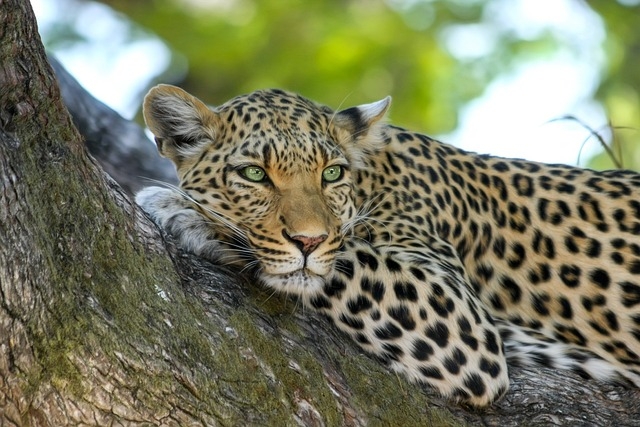 Tour UGANDA (emozioni africane) VIAGGI di GRUPPO