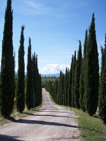 Tour TOSCANA 