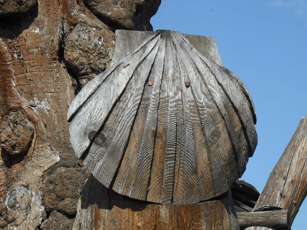 Tour PAESI BASCHI, SANTIAGO DE COMPOSTELA e PORTO VIAGGI di GRUPPO