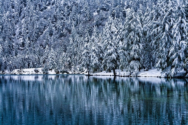 Tour LAGO MAGGIORE e SVIZZERA, Capodanno CAPODANNO
