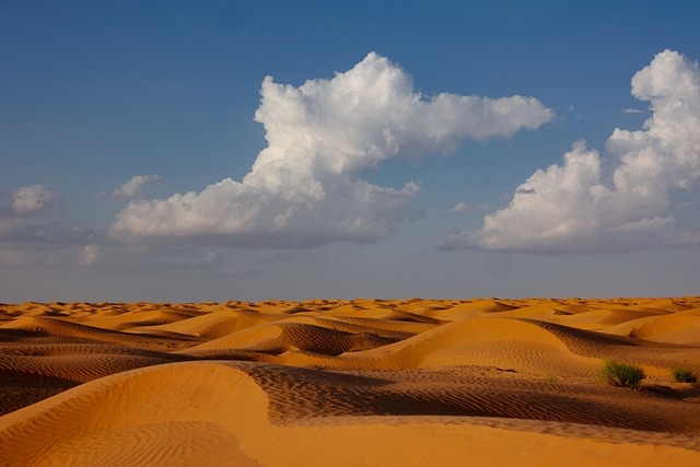 Tour TUNISIA (d'autore) CAPODANNO