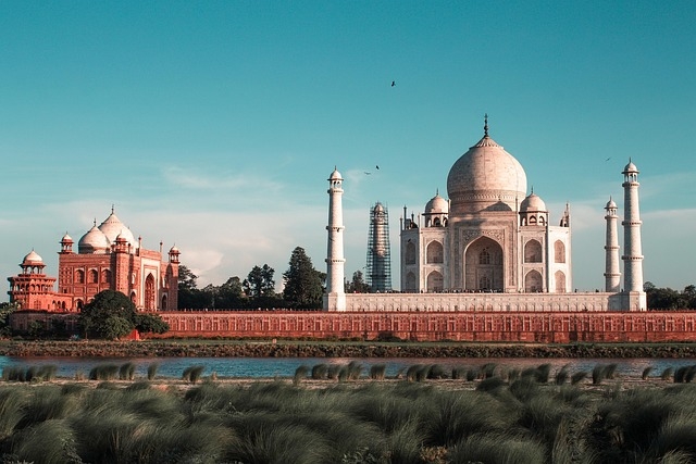 Tour INDIA: Tigri Forti e Taj VIAGGI di GRUPPO