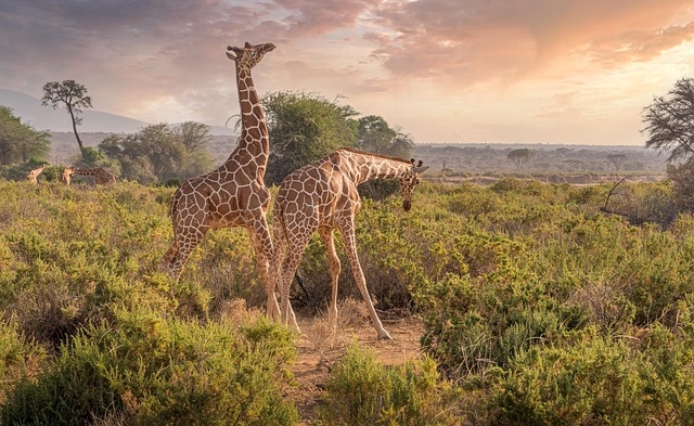 SENEGAL VIAGGI INDIVIDUALI