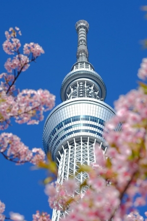 Tour GIAPPONE (Moderno e Classico) VIAGGI di GRUPPO - Mondo